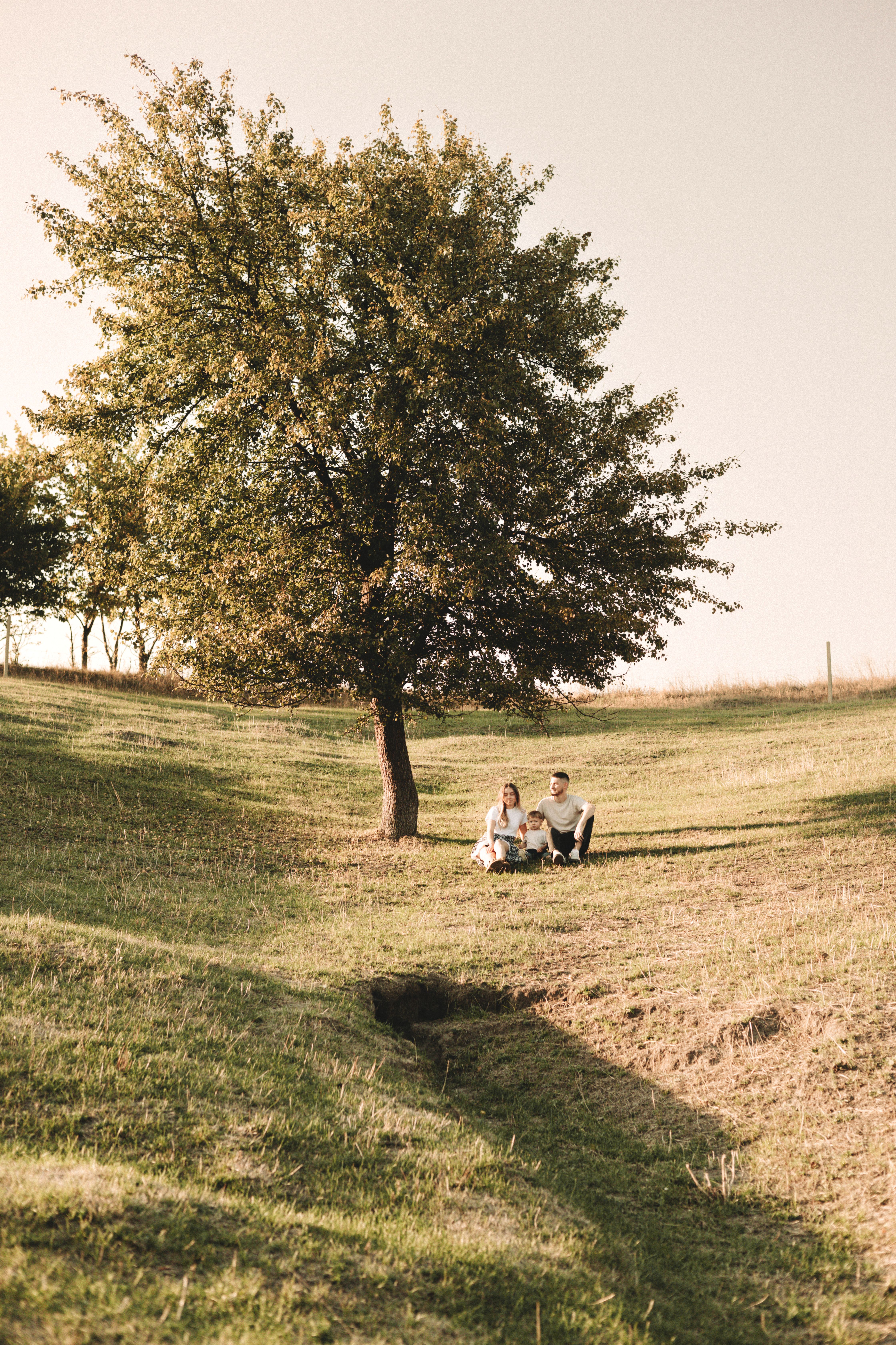 Family therapy session — therapy at Happy Camper